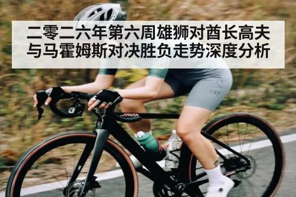 二零二六年第六周雄狮对酋长高夫与马霍姆斯对决胜负走势深度分析